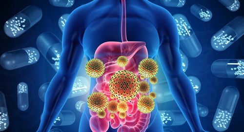 Norovirus là virus đường ruột phổ biến nhất gây cúm dạ dày. Ảnh: Wondriumdaily.