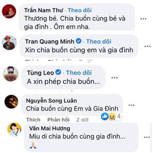 Dàn sao đồng loạt gửi lời chia buồn đến Miu Lê