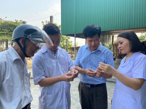  Cán bộ CDC Hà Tĩnh đang tiến hành nghiên cứu để sớm xác định loại côn trùng gây bệnh 