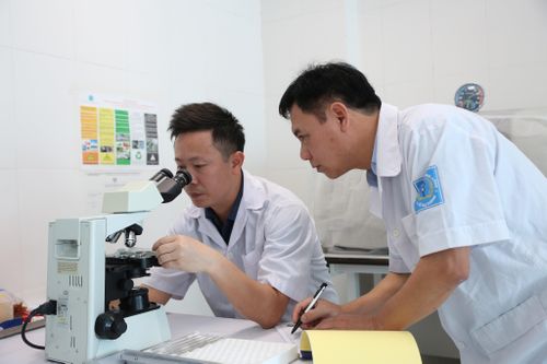 Cán bộ chuyên môn của CDC Hà Tĩnh phân tích, xác định côn trùng đốt tại thôn Phúc Thanh