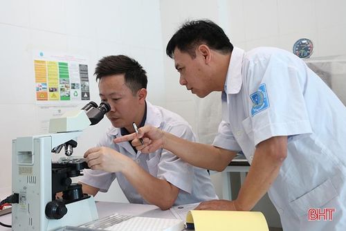 12 mẫu gửi ra Viện Sốt rét - Ký sinh trùng - Côn trùng Trung ương đều cho kết quả là bọ chét (Siphonaptera). Đây là loài thường ký sinh ở trên động vật như chó, mèo, chuột…