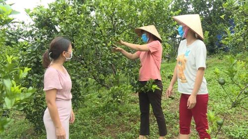 Người dân xã Vạn Yên, huyện Vân Đồn mạnh dạn đầu tư các mô hình phát triển kinh tế gia đình từ nguồn hỗ trợ chương trình giảm nghèo - Ảnh: Nguyễn Duy