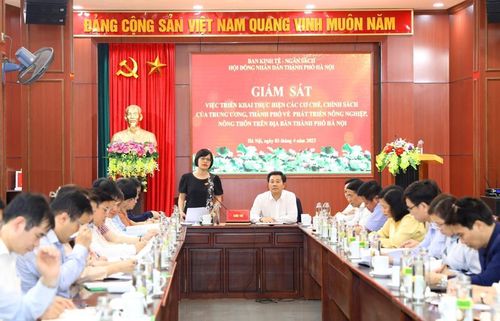 Đoàn giám sát của Ban Kinh tế-Ngân sách, HĐND TP Hà Nội làm việc với Sở NN&amp;PTNT chiều 3/4