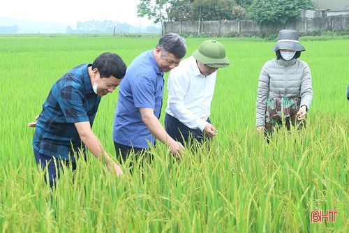 Đoàn kiểm tra tại xã Lâm Trung Thủy (huyện Đức Thọ).