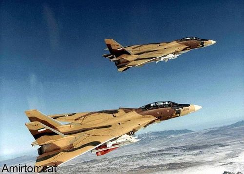 Ngay cả những chiếc tiêm kích F-14 Tomcat có lợi thế lớn về vũ khí và tên lửa so với tất cả các loại máy bay chiến đấu khác vào thời điểm đó, nhưng MiG-25 vẫn tỏ ra là một thách thức nghiêm trọng.