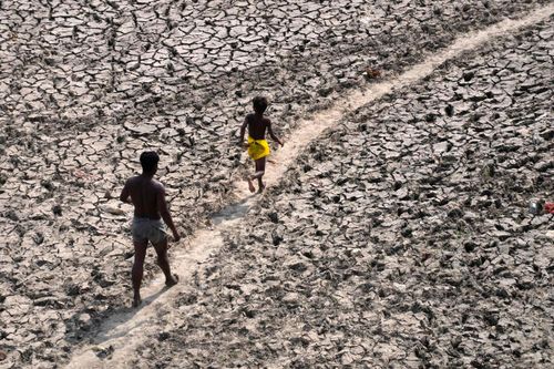 Nắng nóng khốc liệt ở Ấn Độ được dự đoán sẽ còn tồi tệ hơn. Ảnh: Reuters.