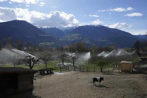 Một trang trại tại Sluderno, Italy, đang tưới nước cho cây. Ảnh: AP