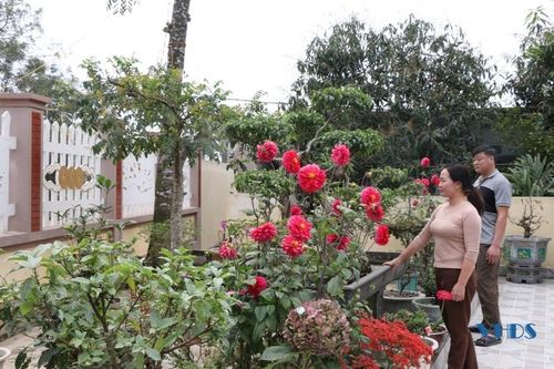 Cùng với phát triển kinh tế, người dân thôn 4 còn chú ý chỉnh trang nhà cửa sạch đẹp để không gian sống được tốt hơn.