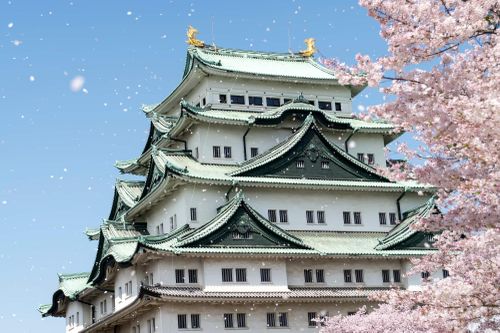  Thành phố có nhiều lâu đài tuyệt đẹp, trong đó có lâu đài Nagoya. Công trình này được xây dựng lại bằng bê tông vào những năm 1950, và giờ là một phần của khu phức hợp bảo tàng gồm bảo tàng Nishinomaru Okura mở cửa năm 2021. Ảnh: Thegate. 