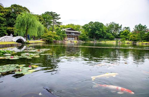  Cách lâu đài vài km là bảo tàng Nghệ thuật Tokugawa, nơi trưng bày nhiều quốc bảo của Nhật nhờ mối liên hệ với dòng họ Tokugawa. Bảo tàng này nằm trong vườn Tokugawa-en Gardens, được phục chế vào năm 2004. Ảnh: CNN. 
