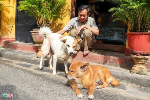 Hội An trở thành địa phương đầu tiên ở Việt Nam quyết tâm dẹp bỏ việc buôn bán thịt chó, mèo.