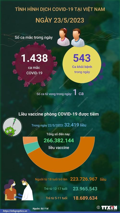 (Nhấp chuột vào ảnh để xem kích thước chuẩn)