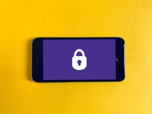 Ảnh: Franck/Unsplash.