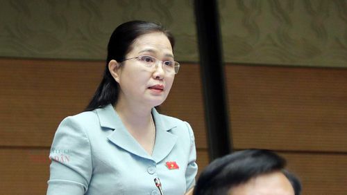Đại biểu Đỗ Thị Lan (Quảng Ninh) phát biểu. Ảnh: Hồ Long