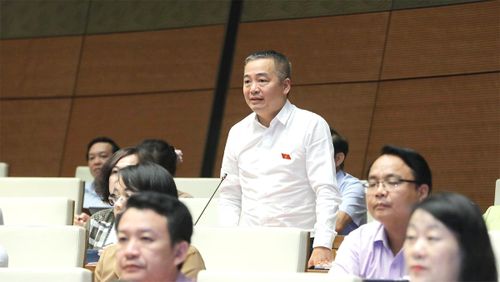 Đại biểu Nguyễn Lân Hiếu (Bình Định) phát biểu. Ảnh: Hồ Long