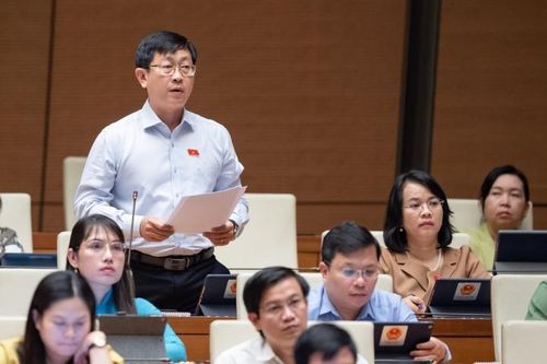 Đại biểu Quốc hội Nguyễn Hữu Thông