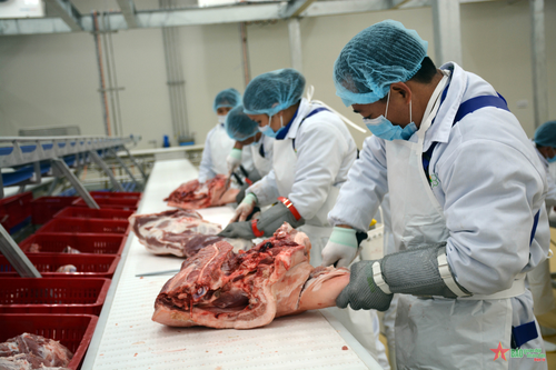 Nhà máy giết mổ, chế biến gia súc, gia cầm của Tập đoàn Masan tại tỉnh Hà Nam.