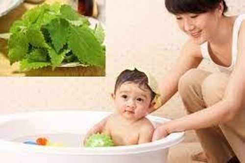 Lá kinh giới có tác dụng làm sạch da, ngăn ngừa rôm sảy cho trẻ.