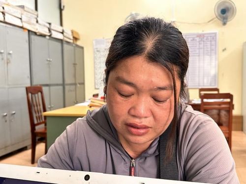 Đối tượng Võ Thị Mỹ Linh.