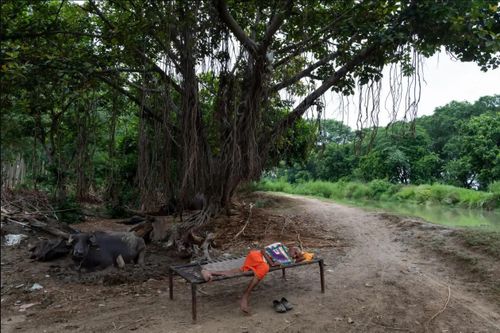 Người làng Nagla Tulai (bang Uttar Pradesh, Ấn Độ) tránh nắng dưới bóng cây. Nguồn: Economic Times.