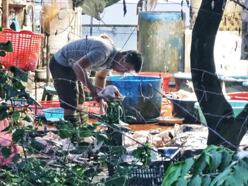 Một cơ sở giết mổ thủ công cạnh mương nước đen ngay trước cổng chợ gia cầm Hà Vĩ - Ảnh: Dương Hưng