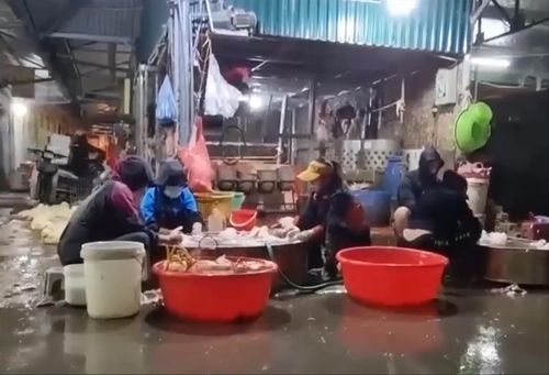 Người dân khu chợ Đông Phương Yên (Chương Mỹ) ngán ngẩm vì tình trạng các lò mổ không phép tràn lan Ảnh: Dương Hưng