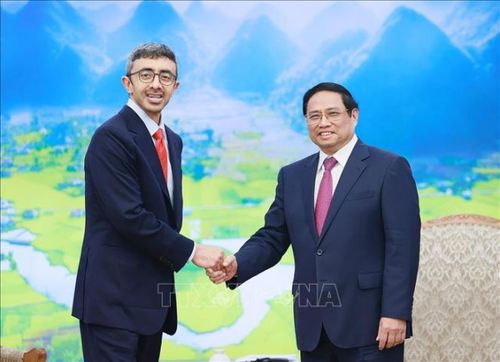 Thủ tướng Phạm Minh Chính tiếp Bộ trưởng Ngoại giao Các Tiểu vương quốc Arab Thống nhất (UAE) Sheikh Abdullah bin Zayed Al Nahyan. Ảnh: TTXVN