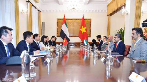 Bộ trưởng Ngoại giao Bùi Thanh Sơn và Bộ trưởng Ngoại giao UAE Sheikh Abdullah bin Zayed Al Nahyan hội đàm. (Ảnh: Tuấn Anh)