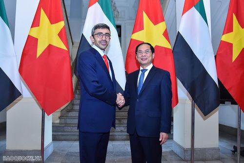 Bộ trưởng Ngoại giao Bùi Thanh Sơn đón Bộ trưởng Ngoại giao UAE Sheikh Abdullah bin Zayed Al Nahyan. (Ảnh: Tuấn Anh)