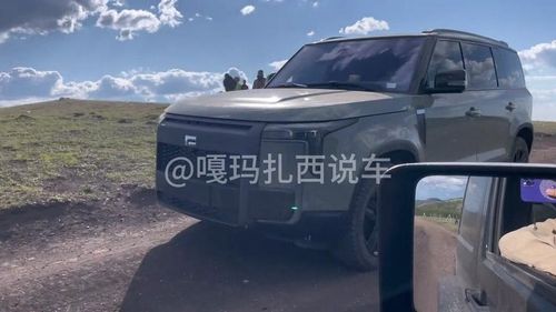 Hình ảnh chiếc The Rox được chạy thử trên đường. Ảnh: CarnewsChina.