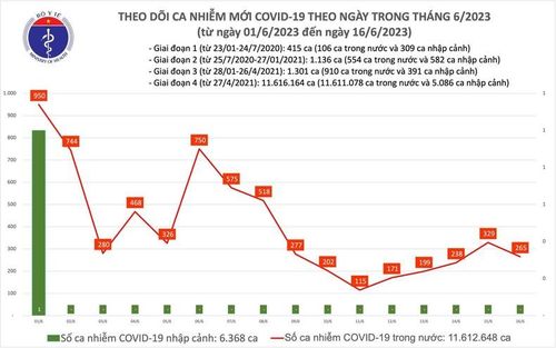 Biểu đồ số ca mắc Covid-19 tại Việt Nam thời gian qua.