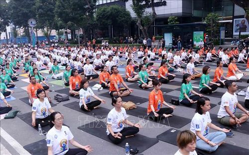 Người tập Yoga tham gia đồng diễn tại Ngày Quốc tế Yoga lần thứ 9 tại Thành phố Hồ Chí Minh.