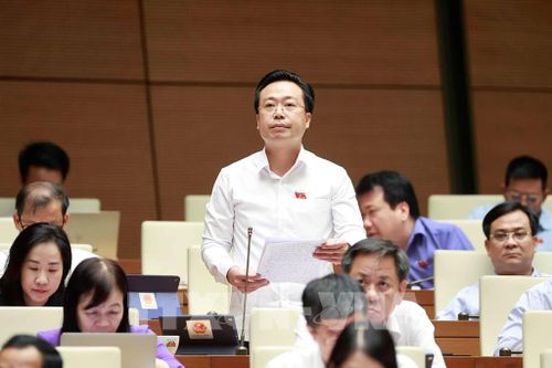 Đại biểu Quốc hội tỉnh Hưng Yên Nguyễn Đại Thắng phát biểu. Ảnh: Doãn Tấn - TTXVN