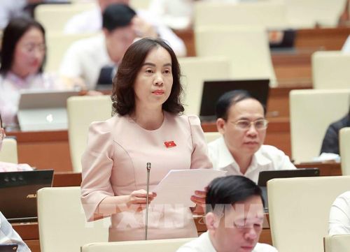 Đại biểu Quốc hội tỉnh Bắc Ninh Nguyễn Thị Kim Anh phát biểu ý kiến. Ảnh: Doãn Tấn - TTXVN