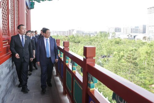 Trung Quốc đã đầu tư trồng hàng chục triệu cây xanh tại khu mới Hùng An.