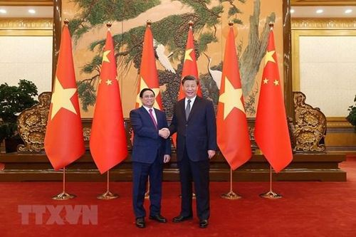 Thủ tướng Phạm Minh Chính hội kiến Tổng Bí thư, Chủ tịch nước Trung Quốc Tập Cận Bình. (Ảnh: Dương Giang/TTXVN)