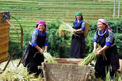 Sự nghiệp giảm nghèo nói chung đã đạt được nhiều thành tựu, được quốc tế ghi nhận. (Ảnh minh họa)