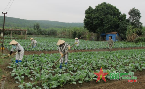 Nữ phạm nhân tổ trồng trọt chăm sóc rau xanh. 
