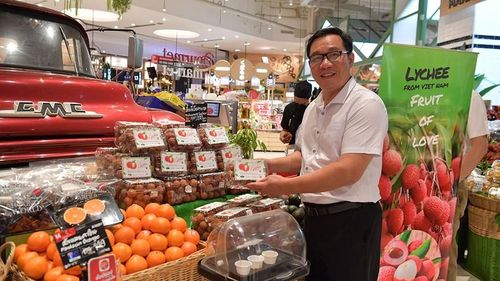 Ông Nguyễn Xuân Việt, Chủ tịch Hội đồng quản trị - Giám đốc VIFOCO.