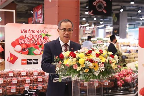 Đại sứ Việt Nam tại Thái Lan Phan Chí Thành phát biểu tại sự kiện. Ảnh: Đỗ Sinh/TTXVN