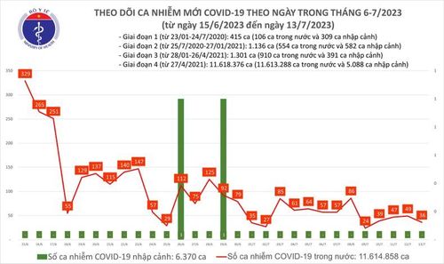  Biểu đồ số ca mắc Covid-19 tại Việt Nam thời gian qua.