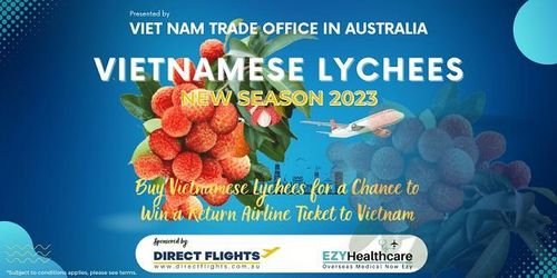 Hàng loạt các poster quảng bá quả vải Việt Nam được triển khai tại Autralia