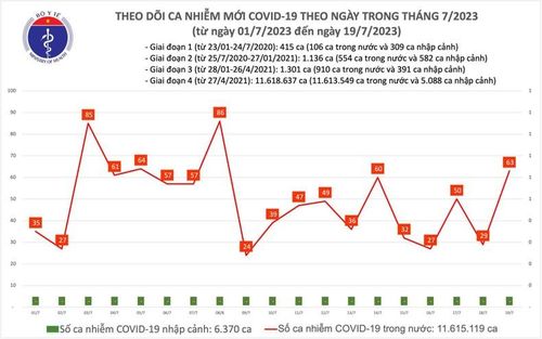 Biểu đồ số ca mắc Covid-19 tại Việt Nam thời gian qua.