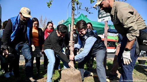 Santiago (Chile) đang trồng 30.000 cây xanh trên khắp thành phố và có kế hoạch thành lập các khu rừng có quy mô nhỏ với vai trò như các trung tâm giải nhiệt.