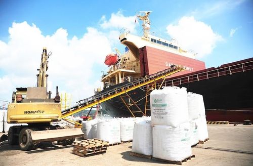Xuất hàng gỗ nén sinh khối tại Cảng Cửa Lò. Ảnh: T.H
