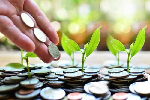 Học phí đại học về mặt tuyệt đối thấp hơn so với học phí tại các trường đại học bốn năm, ngay cả khi các khoản phí ngoài tiểu bang được tính vào. Nói cách khác, du học tại các trường cao đẳng là một cách tuyệt vời để giảm chi phí.