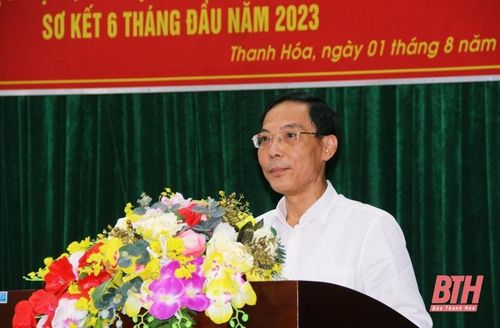 Đồng chí Đầu Thanh Tùng, Tỉnh ủy viên, Phó Chủ tịch UBND tỉnh phát biểu tại hội nghị.