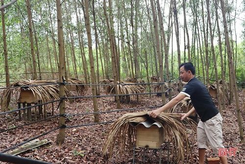Xã Cẩm Mỹ có 17 hộ nghèo, hộ cận nghèo được hỗ trợ mô hình nuôi ong lấy mật