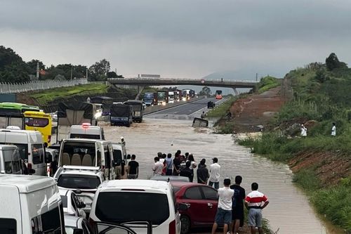 Toàn bộ chi phí thực hiện do đơn vị tư vấn chi trả.