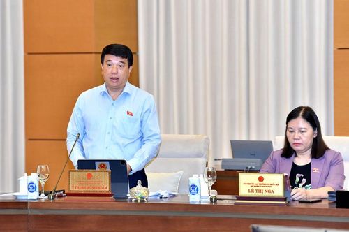 Chủ tịch Hội đồng Dân tộc Y Thanh Hà Niê Kđăm phát biểu. Ảnh: Lâm Hiển